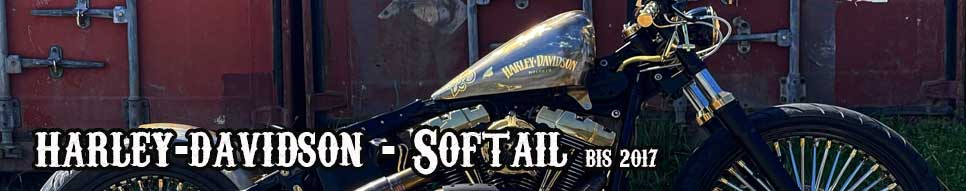 Penzl Bikes Auspuffanlagen mit elektrische oder manuelle Steuerung für Harley-Davidson® - Softail bis Bj. 2017