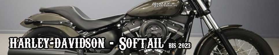 Penzl Bikes Auspuffanlagen mit elektrische oder manuelle Steuerung für Harley-Davidson® - Softail ab Bj.2018
