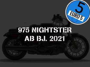 975 NIGHTSTER AB BJ.2021 EURO 5