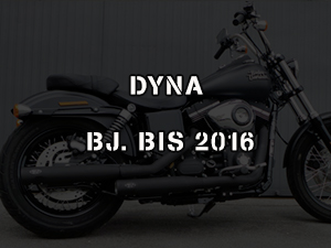 DYNA BIS 2016