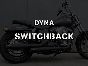 DYNA SWITCHBACK