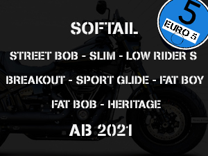 SOFTAIL - STREET BOB - SLIM - LOW RIDER S - BREAKOUT - SPORT GLIDE - FAT BOY - FAT BOB - HERITAGE CLASSIC - AB 2021 EURO 5