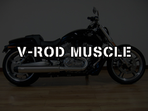 V-ROD MUSCLE