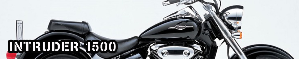 INTRUDER 1500