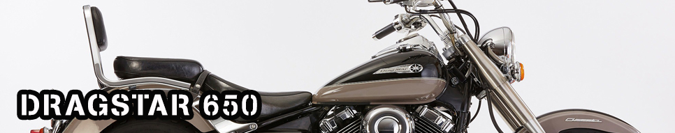 DRAGSTAR 650
