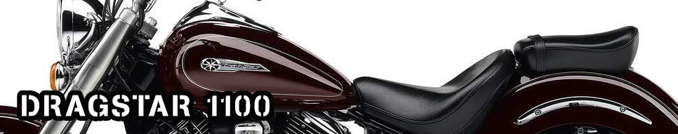 DRAGSTAR 1100