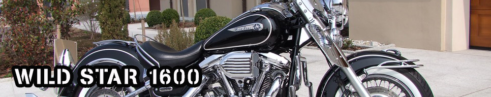 WILD STAR 1600