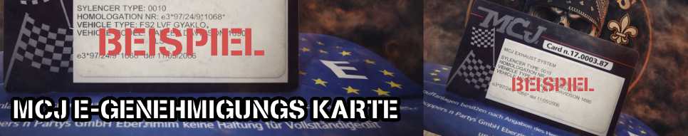 GUTACHTEN/E-GENEHMIGUNGEN