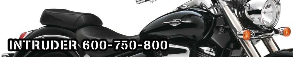 INTRUDER 600-750-800