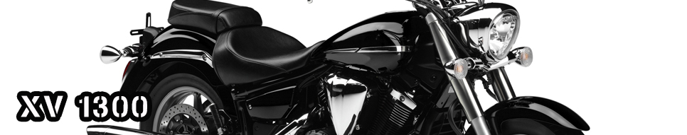 XV 1300