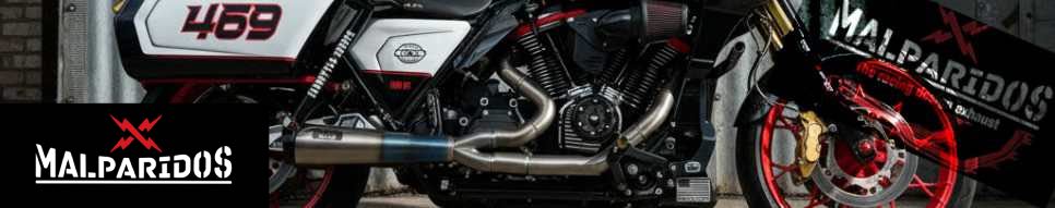 MALPARIDOS Exhaust Auspuffanlagen 2 in 1 – Straßenzugelassene Leistungssteigerung für Harley-Davidson