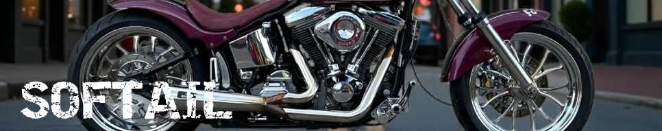 SOFTAIL MALPARIDOS 2in1 Exhaust System – Harley-Davidson®