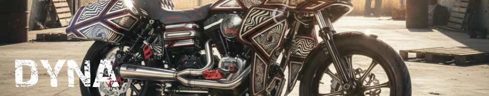 DYNA MALPARIDOS 2in1 Exhaust System – Harley-Davidson®