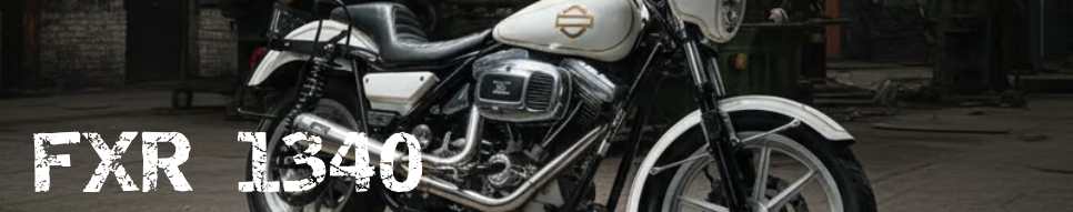 FXR 1340 MALPARIDOS 2in1 Exhaust System – Harley-Davidson®