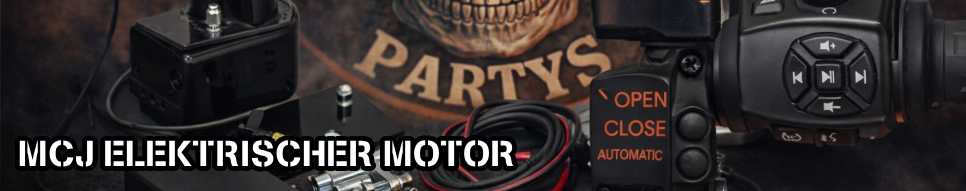 MCJ AUTOMATIC REGULATOR WITH ELECTRONIC POINT SWITCH - MCJ AUTOMATISCHER REGLER MIT ELEKTRONISCHER SCHALTER