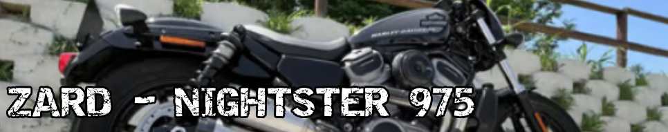 Zard Nightster 975 Auspuffanlagen Harley-Davidson®