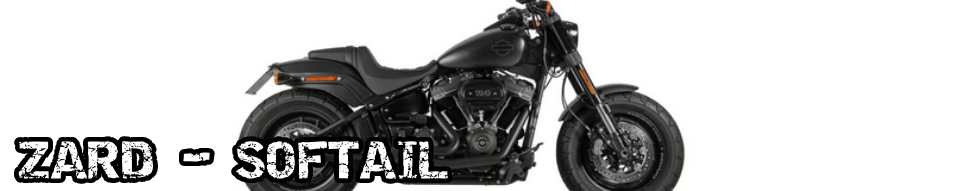 Zard Softail Auspuffanlagen Harley-Davidson®