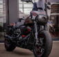 Preview: Malparidos  2-1 exhaust system in Stainless Steel Matte black Cerakote finish - für Harley Davidson 18-24 M8 Softail up to 117" (excl. Fatboy, Breakout) (NU) Euro 4/5 Auspuffanlage ECE-Typgenehmigung