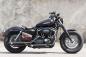 Preview: PENZL AUSPUFFANLAGE FÜR - Harley-Davidson - 1200 Low (XL1200L) - Motor 1200 - Baujahr 2004 bis 2011 - mit manuelle oder elektronische Steuerung