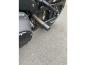 Preview: Club Style Engine Guard for M8 Softail with Oil Cooler Protection Bronze Powder Coated Rear