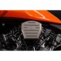 Preview: ignition coil guard kit – Sportster (2026–2026)