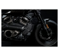 Preview: Zard - carbon radiator cover and side panel kit - für Harley-Davidson® 21-26 RH1250S Sportster S