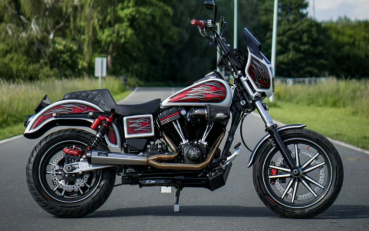Malparidos  2-1 exhaust system in Stainless Steel with a brushed 'Works' finish - für Harley Davidson 06-16 6-sp Dyna up to 110" (NU) Euro 3 Auspuffanlage ECE-Typgenehmigung