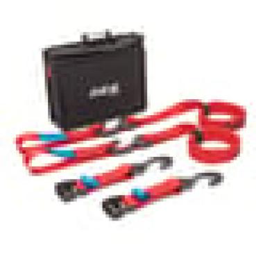 ACE Bikes Cam Buckle Zurrgurte, 2er-Set