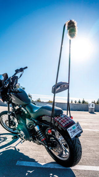 BURLY BRAND STUPID TALL SISSY BARS