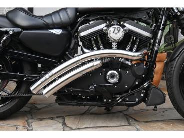 BSL Rainbow Down Under Auspuffanlage, ohne Hitzeschild, poliert glatt Endkappe, poliert 2,5" – 04-16 Sportster, (außer 08-10 XR1200, 10-13 XR1200X) 14-16 benötigt Lambdasonden-Reduzierstück 670859