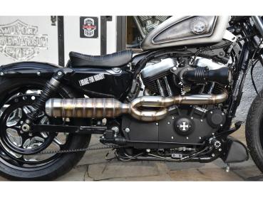 BSL Exhaust Bomb V2 Tattoo Exhaust System , Raw Smooth Heat Shield, Polished Adjustable High End Cap, Outline 4" - BSL Auspuffanlage für Harley Davidson 07-16 Dyna, (except 16 FXDLS)