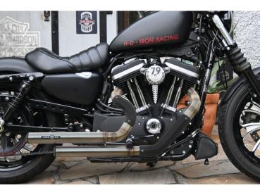 BSL Exhaust Top Chopp Staggered Exhaust System , Black Smooth Heat Shield, Black Smooth Endcap, Outline 2,5"- BSL Auspuffanlage für Harley Davidson 14-16 Sportster