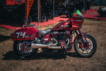 Malparidos  2-1 exhaust system in Stainless steel. Polished finish - für Harley Davidson 86-99 Evo Softail; 88-94 FXR models (NU) Auspuffanlage ECE-Typgenehmigung