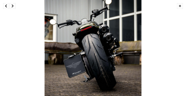 HeinzBikes, seitlicher Kennzeichenhalter-Satz für Harley-Davidson® Sportster S RH1250S 21-25
