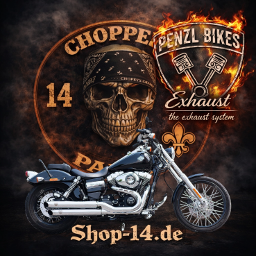 PENZL AUSPUFFANLAGE FÜR - Harley-Davidson - Dyna Super Glide (FXR) - Motor Evolution - Baujahr 1984 bis 1994 - nur mit manuelle Steuerung