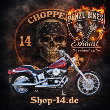 PENZL AUSPUFFANLAGE FÜR - Harley-Davidson - Softail Heritage Classic (FLSTC) - Motor Evolution/TC88/TC96/TC103 - Baujahr 1984 bis 2017