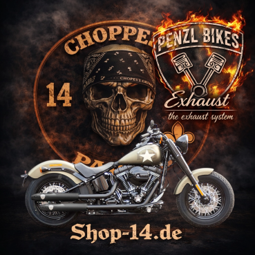 PENZL AUSPUFFANLAGE FÜR - Harley-Davidson - Softail Slim S (FLSS) - Motor TC110 - Baujahr 2016