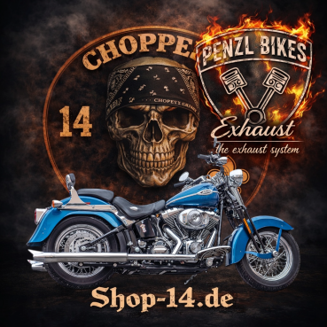 PENZL AUSPUFFANLAGE FÜR - Harley-Davidson - Softail Springer li./re. (FLSTS) - Motor Evolution/TC88/TC96 - Baujahr 1984 bis 2007