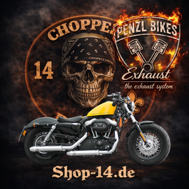PENZL AUSPUFFANLAGE FÜR - Harley-Davidson - 883 (XLH883) - Motor 883 - Baujahr 1988 bis 2003 - nur mit manuelle Steuerung
