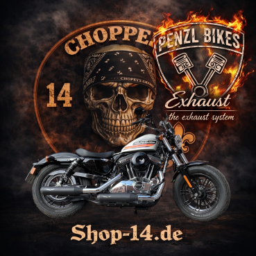 PENZL AUSPUFFANLAGE FÜR - Harley-Davidson - 1200 Iron  - Motor 1200 - Baujahr 2018 bis 2020 - nur mit V2 Speed elektronische Steuerung