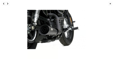 Zard - Sport 2-1 exhaust XL Sportster. Black - für Harley-Davidson® 14-16 XL883/1200 Sportster Auspuffanlage Auspuff