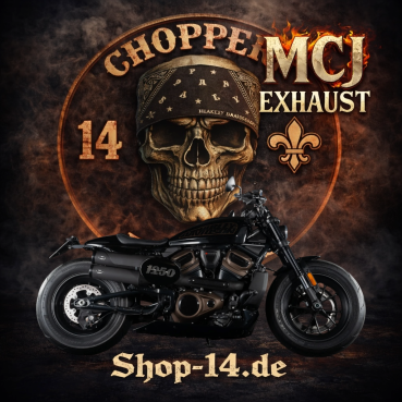 MCJ - 2in2 Endtöpfe für SPORTSTER S 1250 AB Baujahr 2021 mit Euro 5