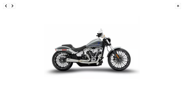 Zard - M8 Softail 2-1 Short Cone exhaust system. Plain - für Harley-Davidson® 18-24 Softail Breakout 117, Fat Boy 114 Auspuffanlage Auspuff