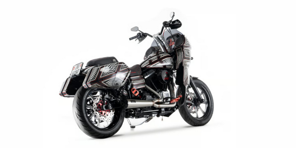 Malparidos  2-1 exhaust system in Stainless Steel with a brushed 'Works' finish - für Harley Davidson 99-05 5-sp Dyna 88" (1450cc) models (NU) Euro 2/3 Auspuffanlage ECE-Typgenehmigung