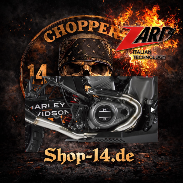 Zard - Pan America carbon heat shield - für Harley-Davidson® 20-25 Pan America models: 20-24 (NU) RA1250 Pan America; 21-25 RA1250S Pan America Special; 2025 RA1250ST Pan America Special ST; 24-25 RA1250SE CVO Pan America Special. With OEM head pipes or w