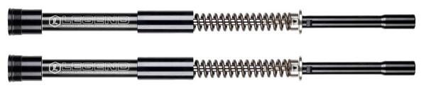 LEGEND AXEO CARTRIDGE SYSTEME - LEGEND AIR SUSPENSION