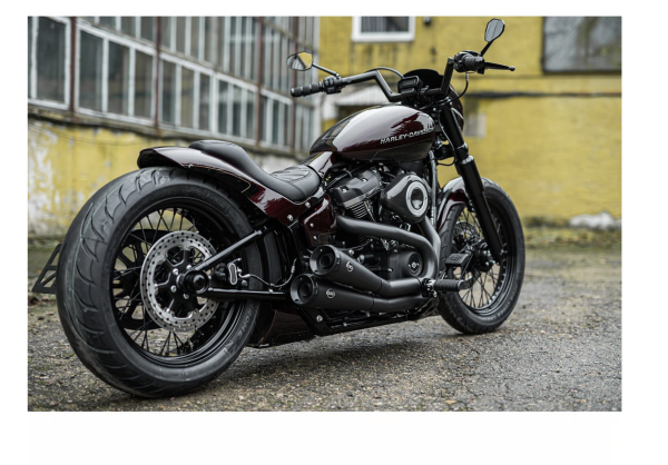 Killer Custom, 'Bobbstr' rear fender kit. For 150-170 tire