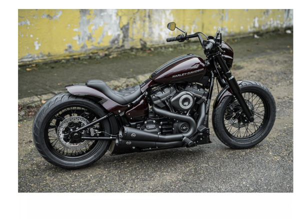 Killer Custom, 'Bobbstr' rear fender kit. For 150-170 tire