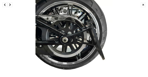 HeinzBikes, seitlicher Kennzeichenhalter-Satz für Harley-Davidson® Softail 91-07