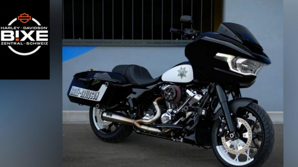 Malparidos  2-1 exhaust system in Stainless Steel - für Harley Davidson M8 Touring 2017 - 2024 EURO4 Euro5 Auspuffanlage ECE-Typgenehmigung